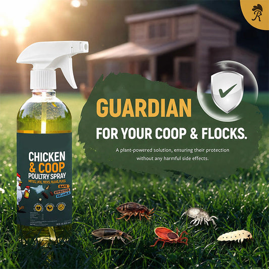 🔥 2026’s #1 Poultry Coop Cleaning Spray STOP THE STINK. STOP THE MESS. 🐔